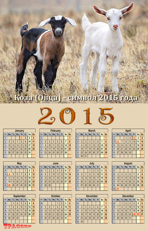 Календари на 2015 год картинки